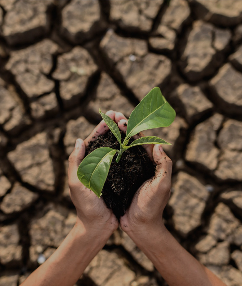 cambio-climatico-inicio